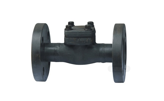 Forged Steel Check Valves